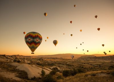 turkey